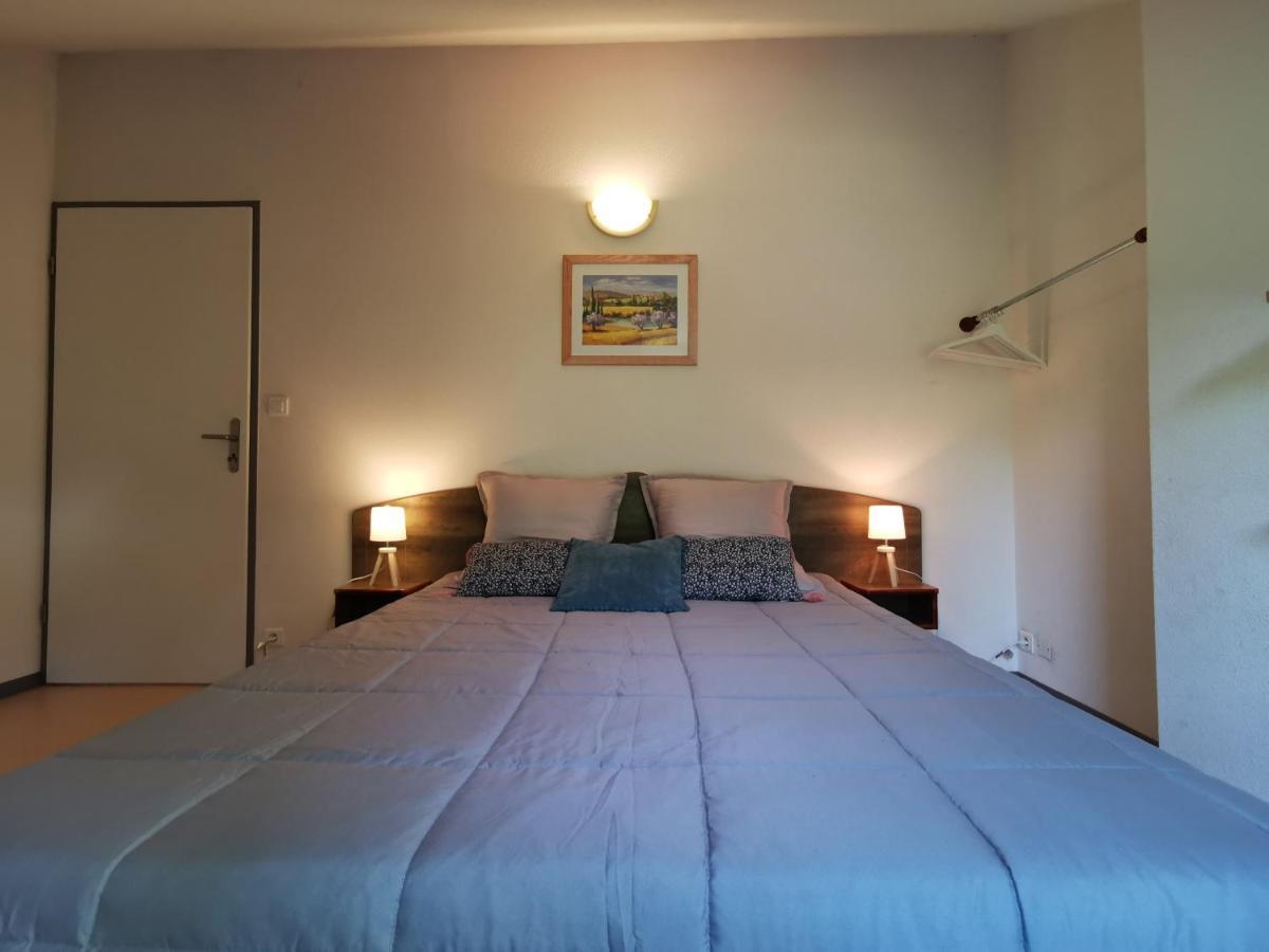 Au 11 T3 Duplex, Village Vacances, Piscines, Parking Saint-Geniez-dʼOlt エクステリア 写真