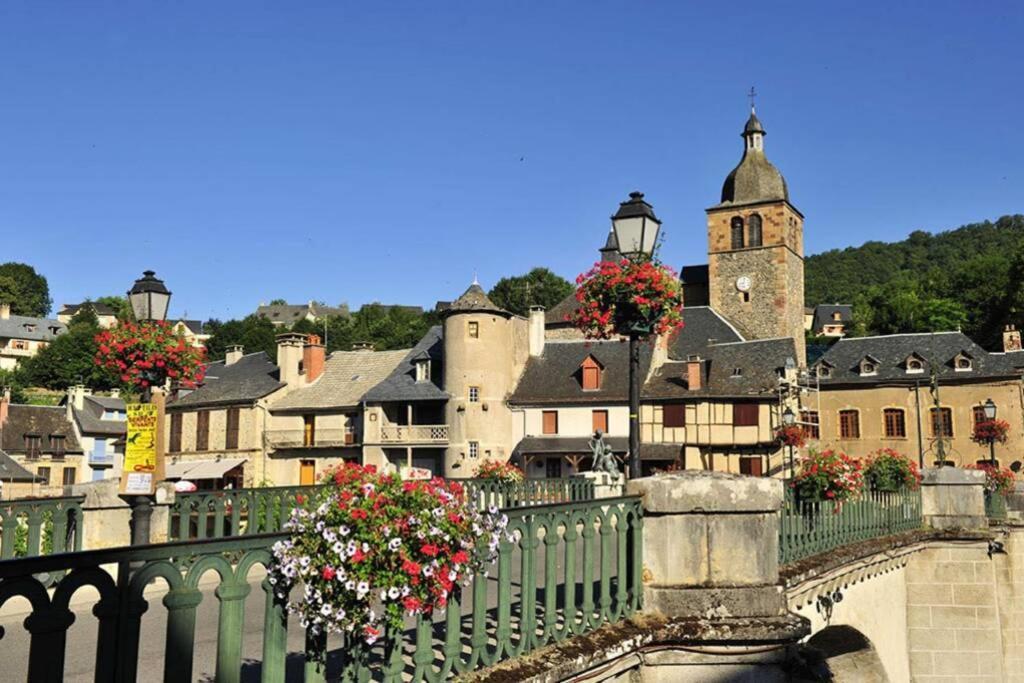 Au 11 T3 Duplex, Village Vacances, Piscines, Parking Saint-Geniez-dʼOlt エクステリア 写真