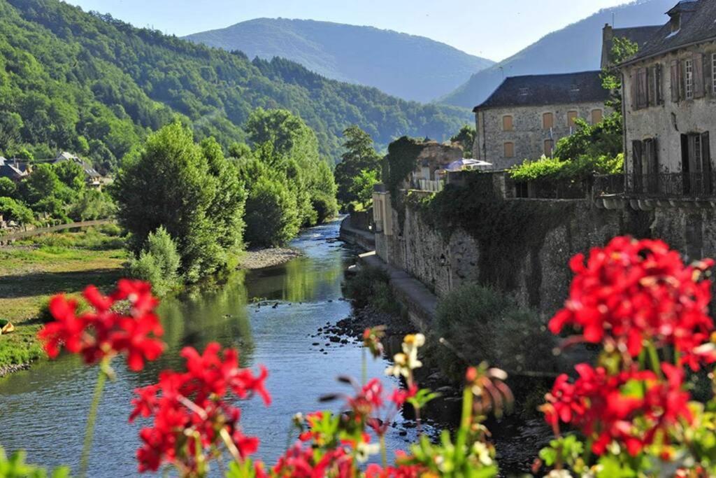 Au 11 T3 Duplex, Village Vacances, Piscines, Parking Saint-Geniez-dʼOlt エクステリア 写真