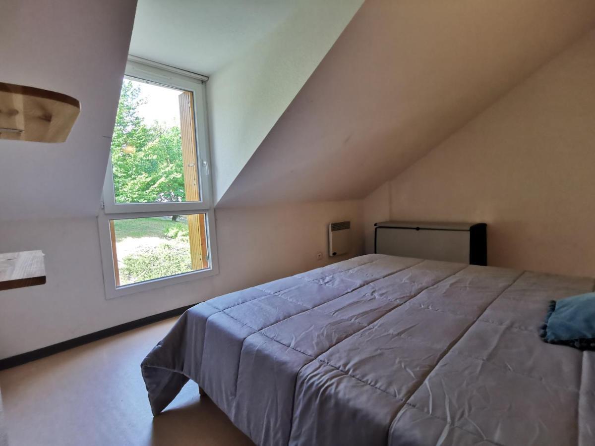 Au 11 T3 Duplex, Village Vacances, Piscines, Parking Saint-Geniez-dʼOlt エクステリア 写真