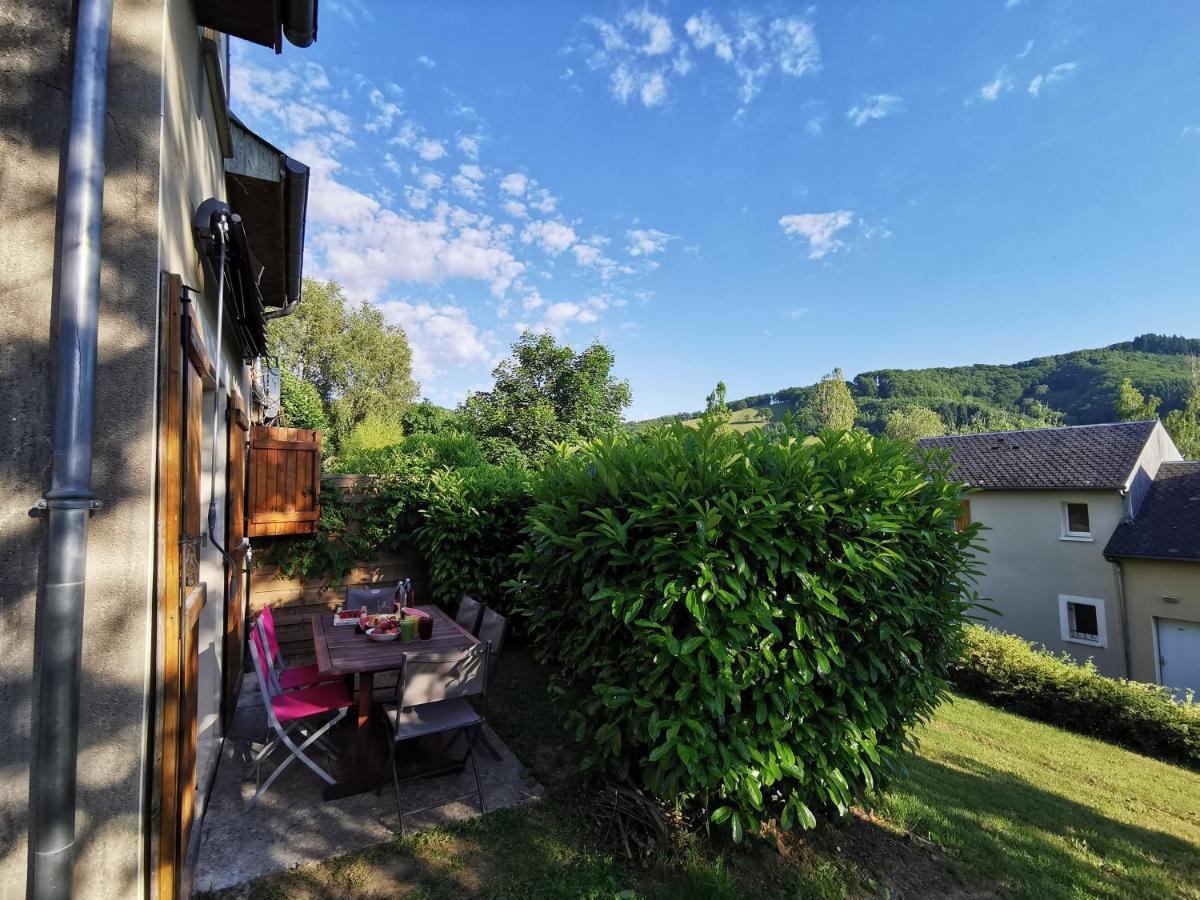 Au 11 T3 Duplex, Village Vacances, Piscines, Parking Saint-Geniez-dʼOlt エクステリア 写真